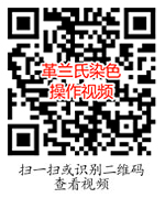 革兰氏染色
