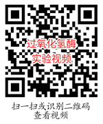 过氧化氢酶实验