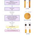FDA与USDA食品致病菌检测流程中食品中金黄色葡萄球菌检测流程